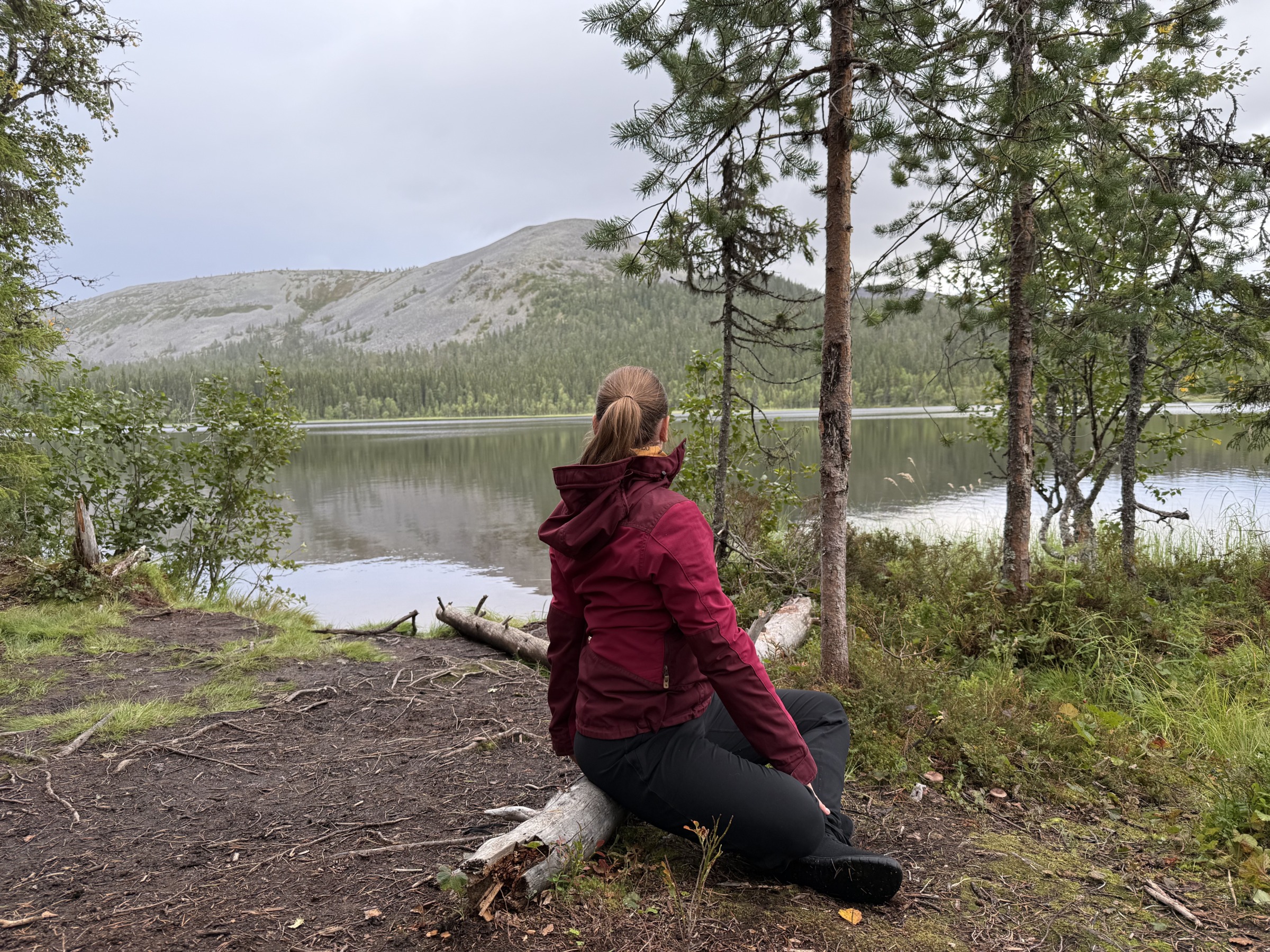 Lähde Luontoon - Traumainformoitu luontohyvinvointiohjaaja 25op